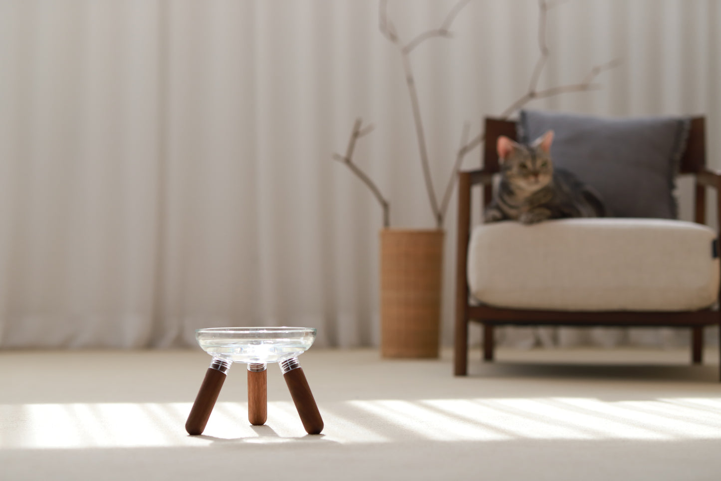 Inherent Glass Table - Walnut