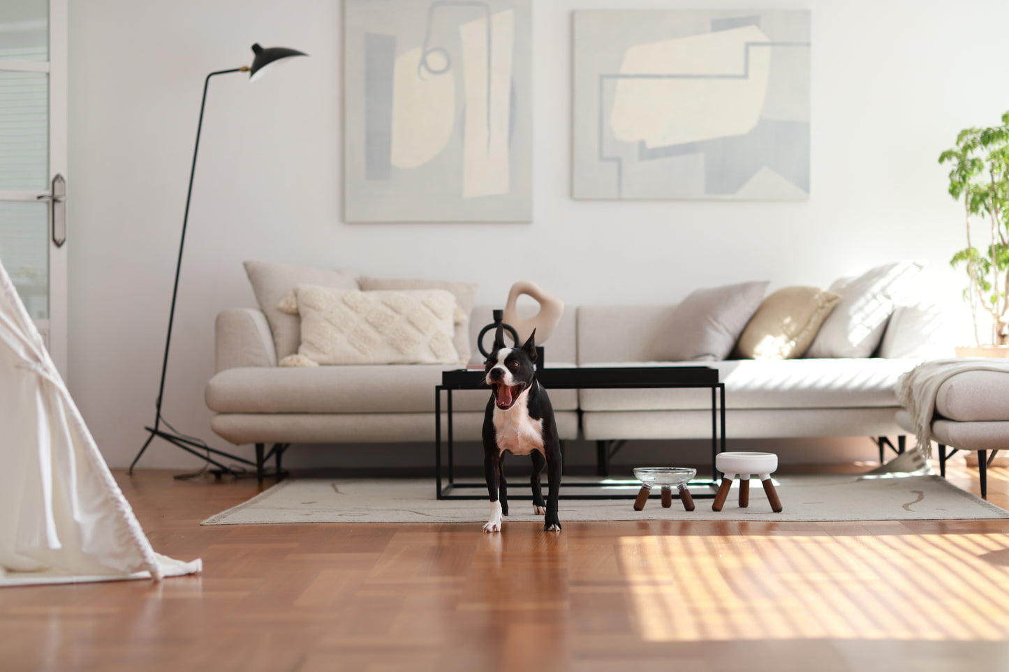 Inherent Glass Table - Walnut