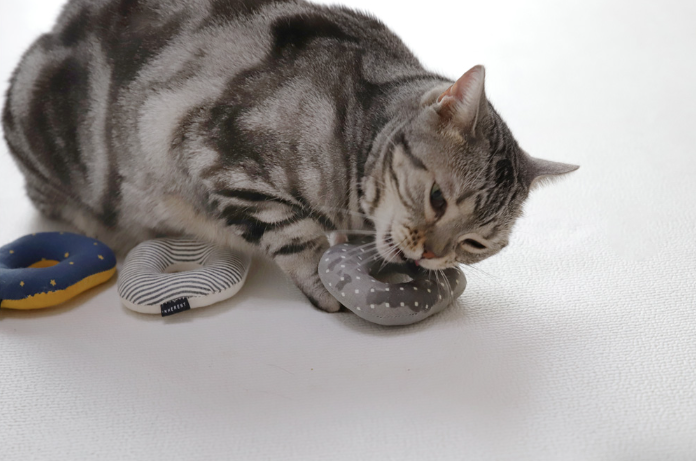 Inherent CatNut - Love - Suro